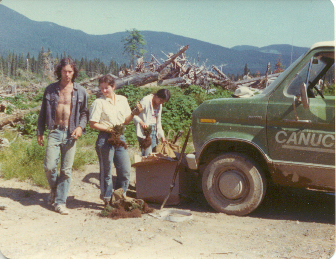 Treeplanting 1975
